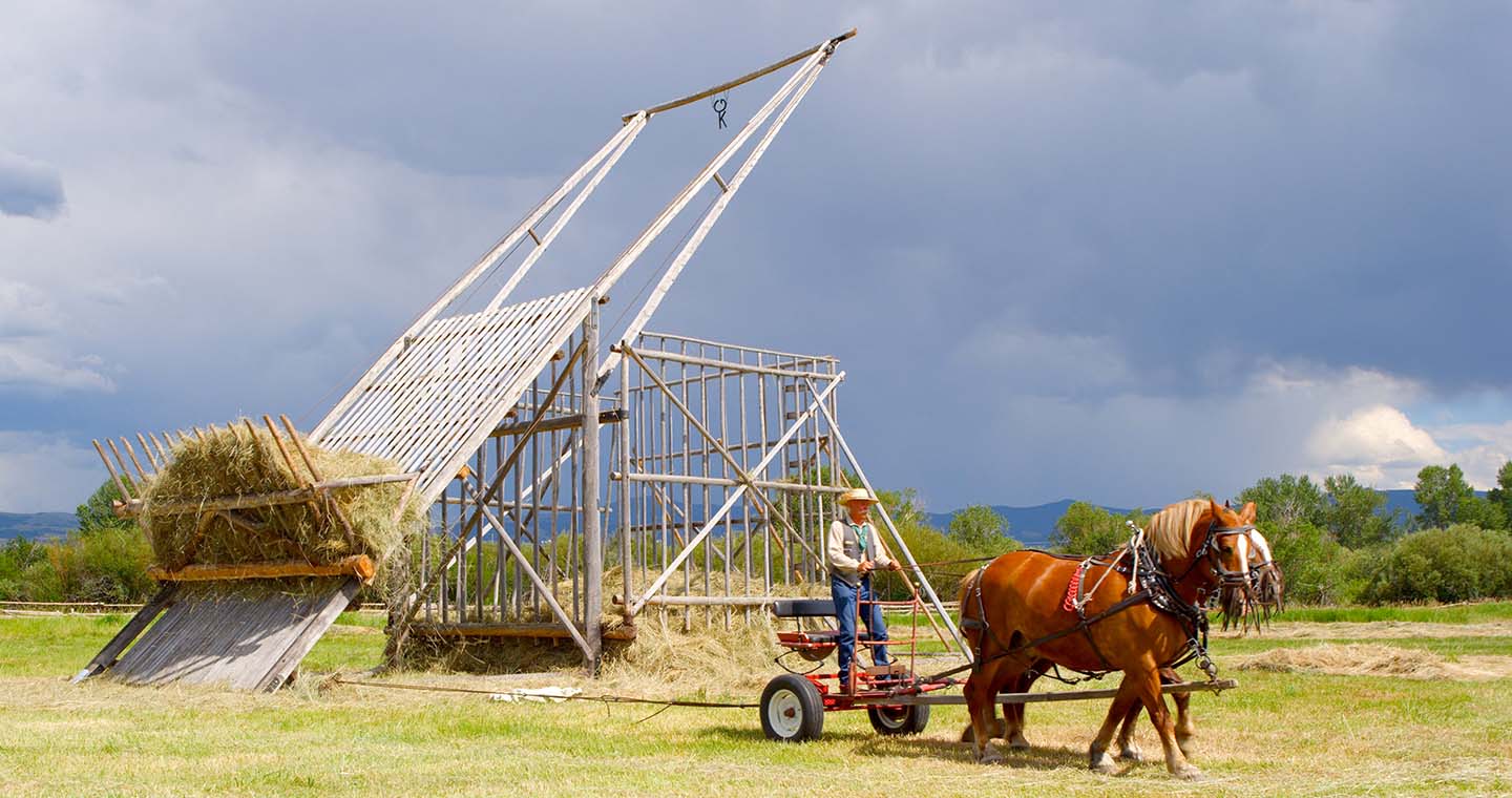 Grant Kohrs Ranch