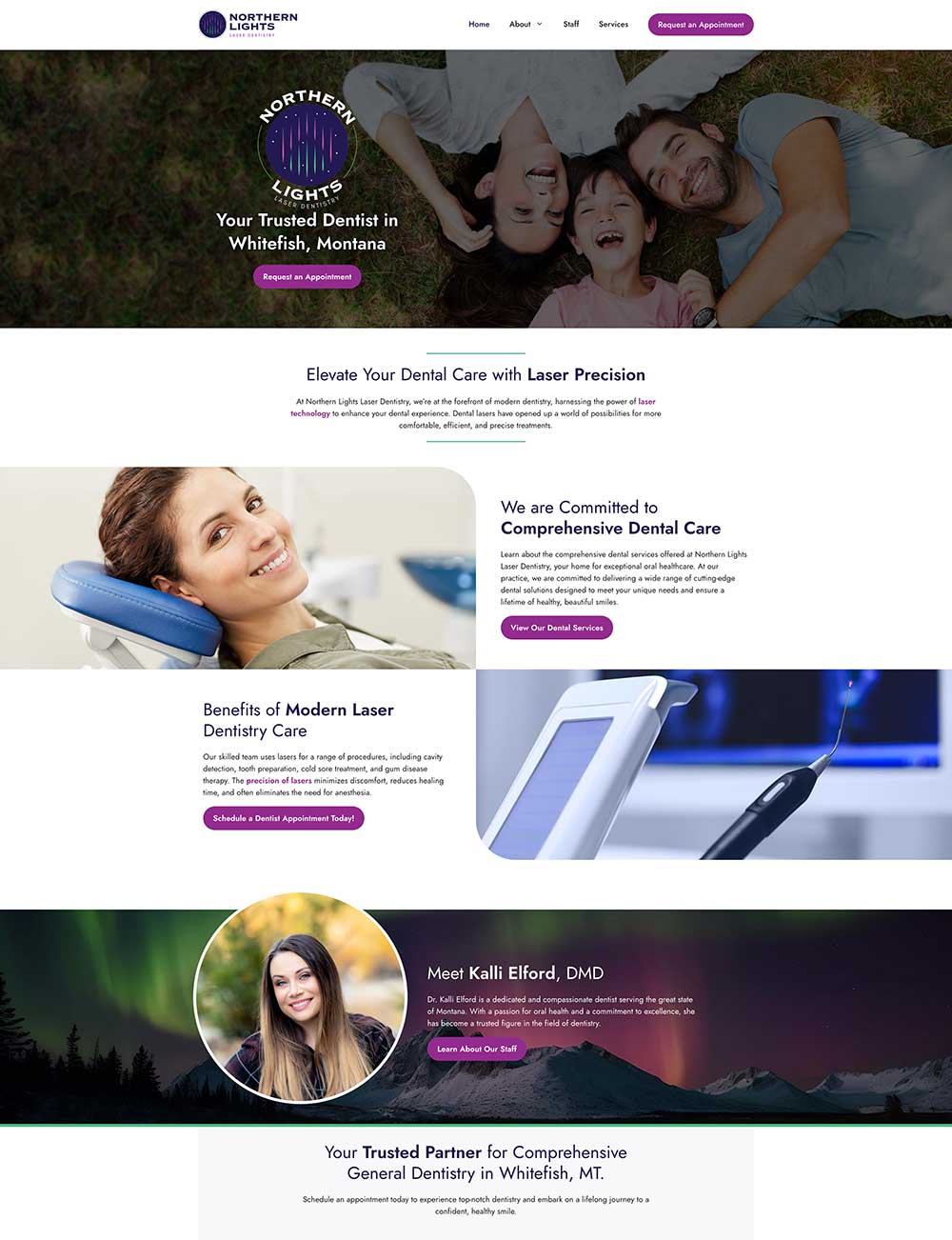 portfolio-screenshot-nll-dentistry-desktop Screenshot of Northern Lights Laser Dentistry Website on Desktop