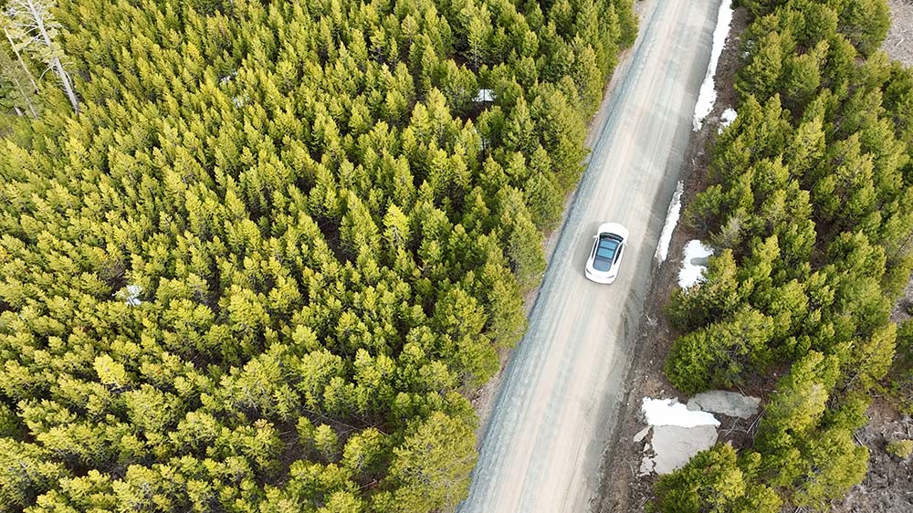 Driving_Credit-Sarah-Bolt-Tempest-Technologies Aerial view of a car driving down a road with thick pine trees on either sides