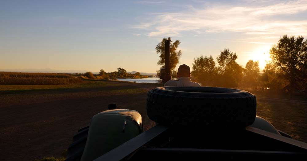 Edgewater-Corn-Maze-and-Pumpkin-Patch-Fall-Farmer_Credit-Sarah-Bolt-Tempest-Technologies Edgwater Corn Maze and Pumpkin Patch at sunset