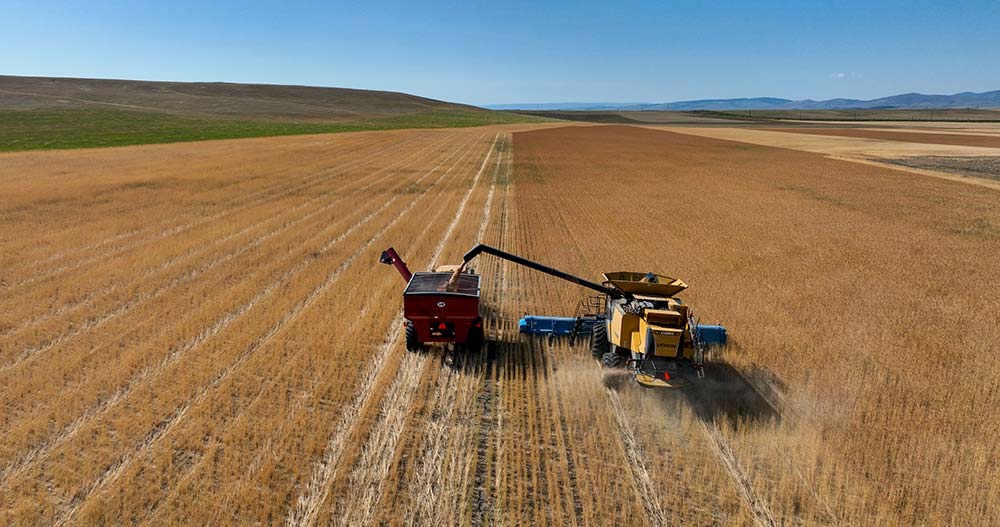 Harvesting_Credit-Sarah-Bolt-Tempest-Technologies Aerial view of a harvester in a field