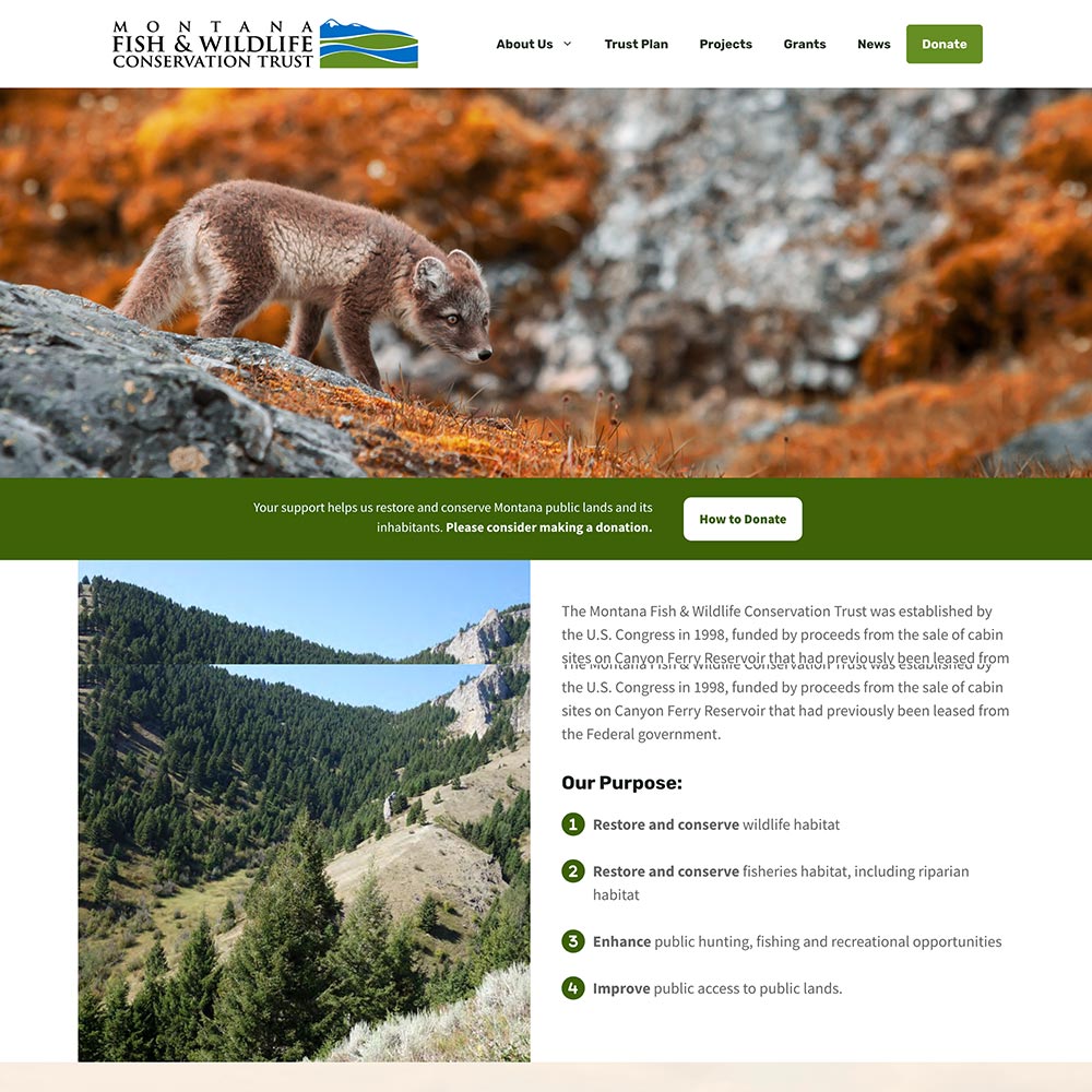 Website screenshot - Montana Fish & Wildlife Conservation Trust