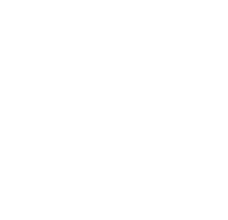 Wordpress Logo in White