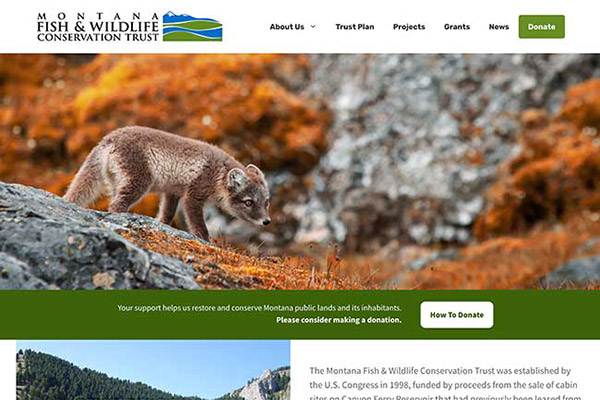 Website screenshot - KOA.com